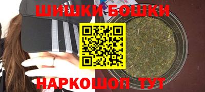 индика Обь